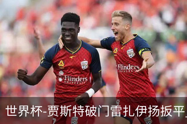 世界杯-贾斯特破门雷扎伊扬扳平 半场伊朗1-1新西兰