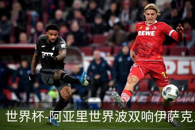世界杯-阿亚里世界波双响伊萨克1射2传 瑞典5-1突尼斯
