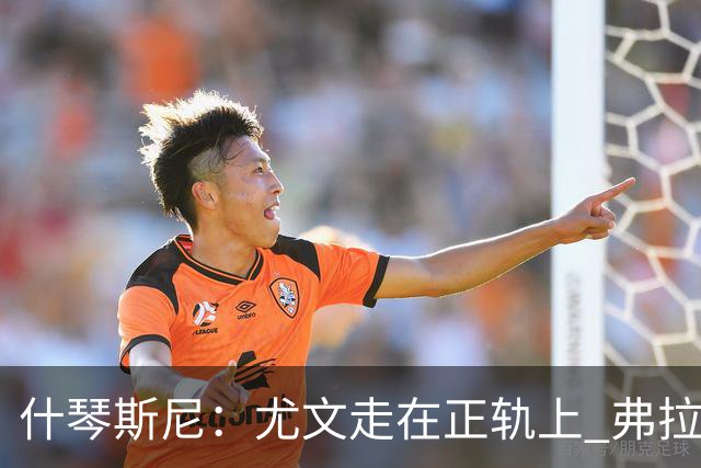 什琴斯尼：尤文走在正轨上 弗拉霍维奇非常出色