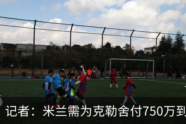 记者：米兰需为克勒舍付750万到1000万解约金，伊布必须退居幕后